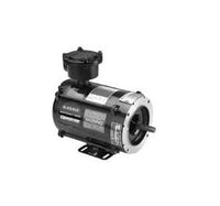 Marathon Electric Motors - Inverter Duty Explosion Proof Motors