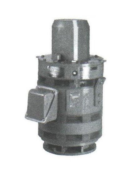 GE Vertical Hollow Shaft Pump Motor - Image 1