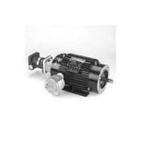 Blue Max Inverter Duty Explosion Proof Electric Motor