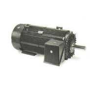 Marathon Electric Medium Voltage 5000 Frame Totally Enclosed Motors