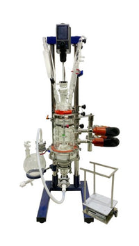 2 Liter (L) Capacity Single Jacket Benchtop Filter Reactor