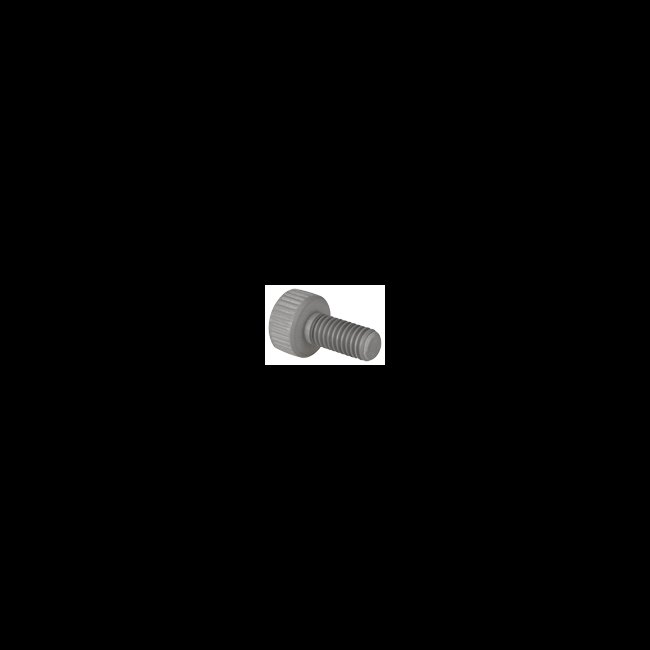 Flo King CPVC Filter Screw Pack - FS6 - Image 1