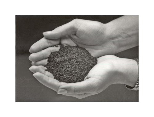 10" Permacore Reusable Carbon Bag with High-Tech Carbon - Image 2