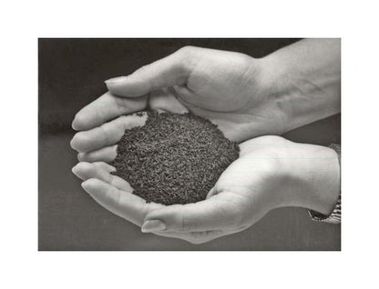 10" Permacore Reusable Carbon Bag with High-Tech Carbon - Image 2