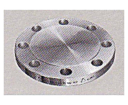 Class 300 Blind Flange 6" - Image 1