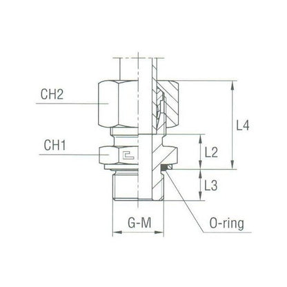 Stainless Steel Male Stud Coupling with O-Ring - DIN 2353 Compression Fitting - Image 1