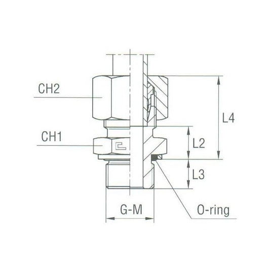 Stainless Steel Male Stud Coupling with O-Ring - DIN 2353 Compression Fitting - Image 1