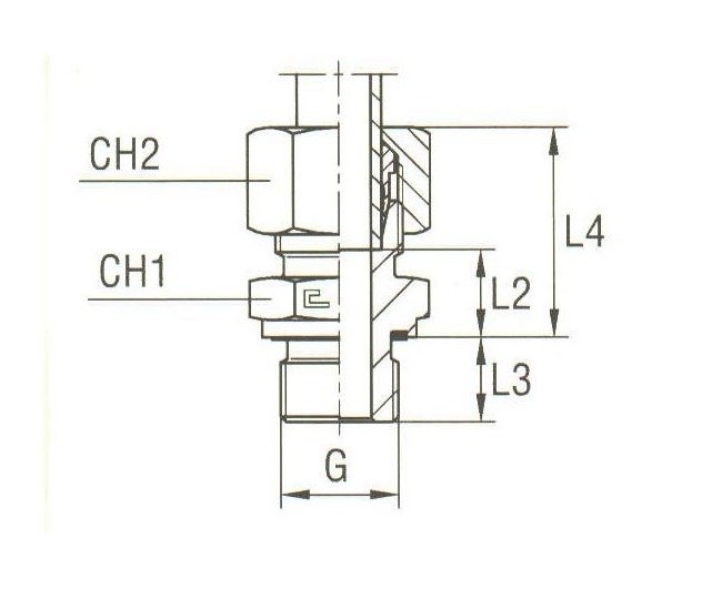 Heavy Duty Male Stud Coupling with Elastomer Seal (BSP Parallel) - Image 2