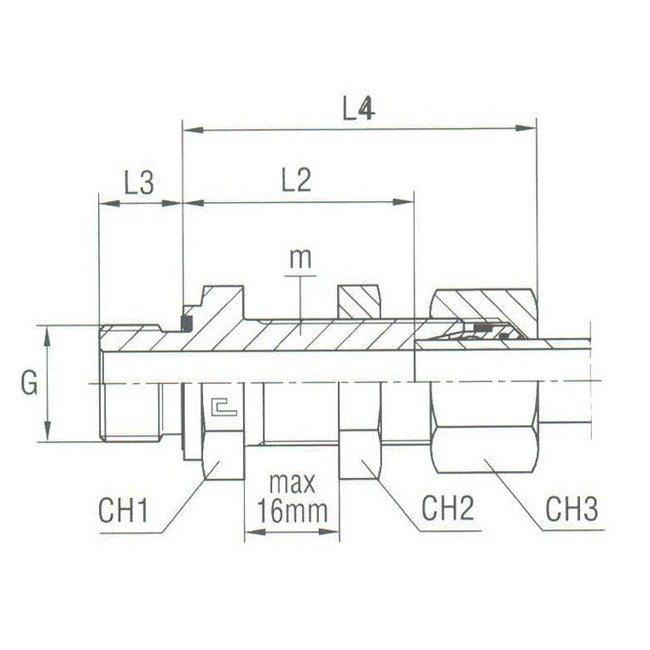 Heavy Duty Bulkhead Connection with Elastomer Seal, BSP Parallel - Equipped B4 Ring - Image 2