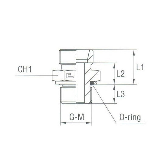 Stainless Steel Male Stud Coupling with O-Ring, Metric Parallel - Light Duty - Image 1