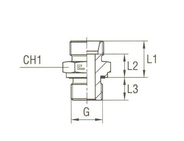 Stainless Steel Male Stud Coupling BSP Parallel - Light Duty, DIN 2353 Compliant - Image 2
