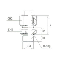 Stainless Steel Male Stud Coupling with O-Ring - DIN 2353 Compression Fitting