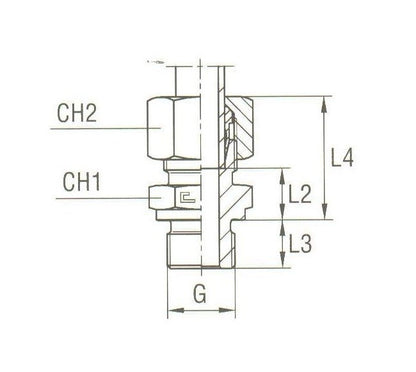 Stainless Steel Male Stud Coupling - BSP Parallel Thread with Equipped B3 Ring - Image 2
