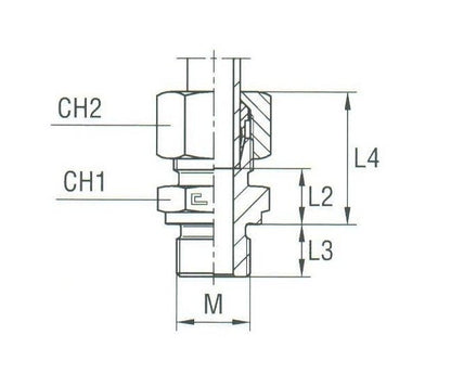 Stainless Steel Male Stud Coupling - Metric Parallel Thread with B3 Ring - Image 2