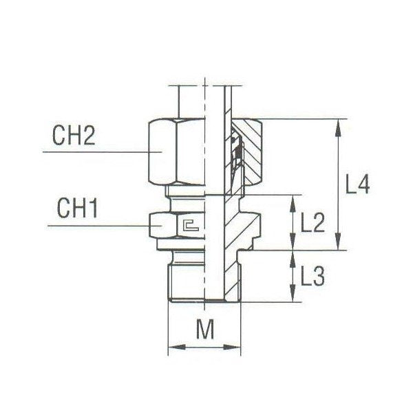 Carbon Steel Male Stud Coupling Thread Metric Parallel with B4 Ring - Image 1