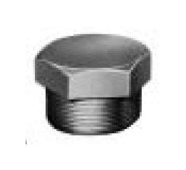 Malleable Hex Head Plugs 1-1/4 - Image 1