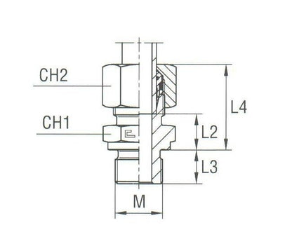Heavy Duty Male Stud Coupling - Metric Parallel Thread with Equipped B4 Ring - Image 2