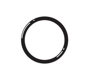 Schedule 80 PVC Union O-Ring - Viton 3/4 inches - Image 1
