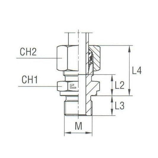 Metric Parallel Male Stud Coupling with B4 Ring - Image 1