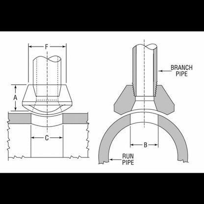 Class 3000 Threaded Anvilets for Pipe Fittings - Image 2