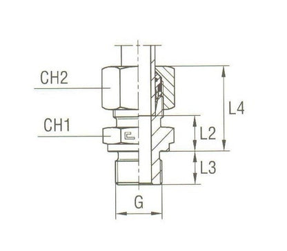 Heavy Duty Male Stud Coupling Thread BSP Parallel - Equipped B4 Ring - Image 2