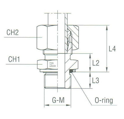 Heavy Duty Male Stud Coupling with O-Ring, BSP Parallel Thread - DIN 2353 Compliant - Image 2