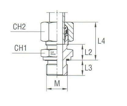 Metric Parallel Male Stud Coupling with Elastomer Seal - Light Duty Carbon Steel, DIN 2353 Compliant - Image 2