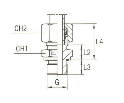 Stainless Steel Male Stud Coupling with Elastomer Seal BSP Parallel - DIN 2353 Compliant - Image 2