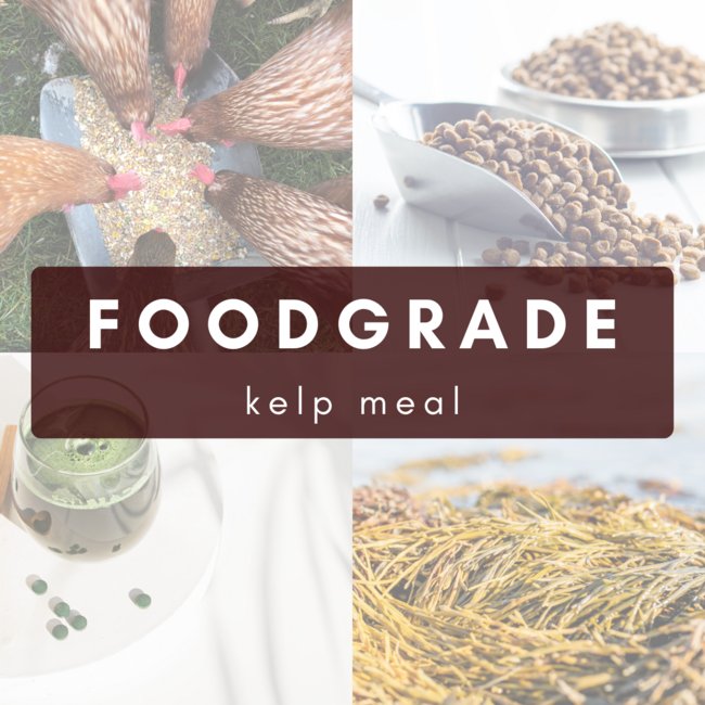 Organic Food Grade Kelp Meal - Image 1