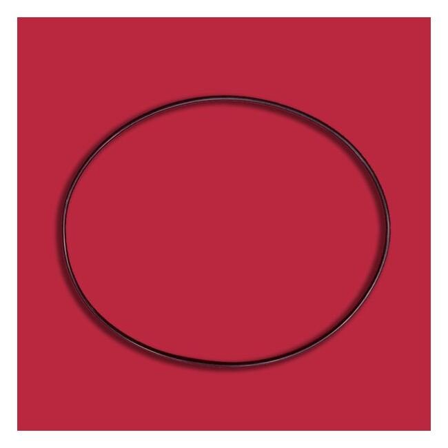Enerquip 8-Inch EPDM O-Ring - Image 1
