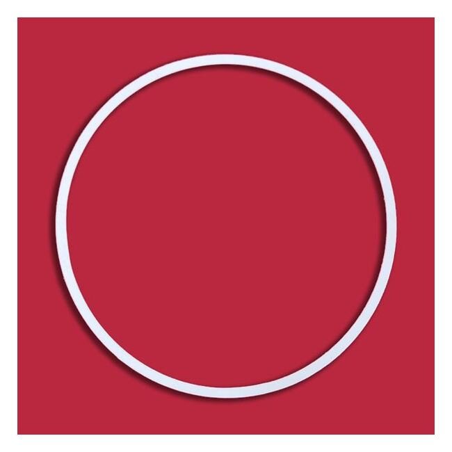 Enerquip 10" Utility Side PTFE Gasket Seal - Image 1