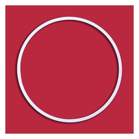 Enerquip 10" Utility Side PTFE Gasket Seal - Image 1