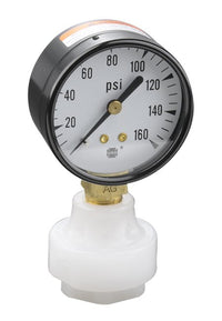 PVDF Mini Tuff Guard Isolator with 2" Economy Gauge, Black Steel Brass Internals, 1/4" Female NPT