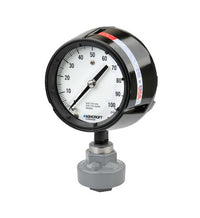 CPVC Tuff Guard Gauge Isolator with 4.5" Ashcroft Duragauge