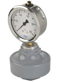 CPVC Gauge Isolator with Viton Diaphragm & Wika Stainless Brass Gauge
