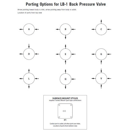 Stainless Steel Adjustable Back Pressure Regulator - BP-3 Series - Image 5