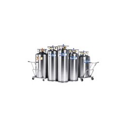 Bulk Cryogenic Gas Storage Cylinders - Image 1