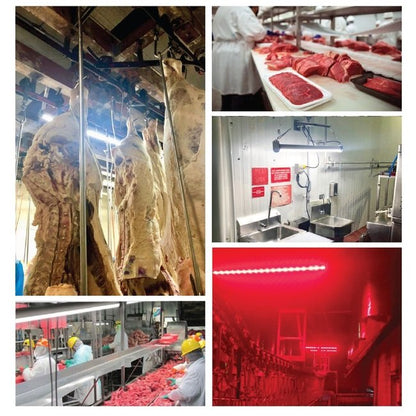 4 Feet (ft) Linear Wash Down Light Emitting Diode (LED) Standard Output (SO) Luminaire Light - Image 3