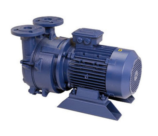 3 Horsepower (hp) Motor Power Liquid Ring Vacuum Pump for Vacuum Sizing Tanks - Image 1