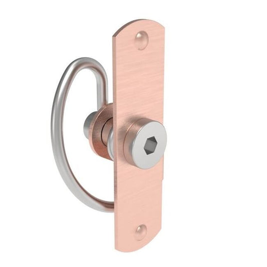 Southco Spring Latch Series Self-Adjusting Compression Latch - Image 1
