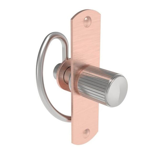 Southco 57 Spring Latch Self-Adjusting Compression Latch - Image 1