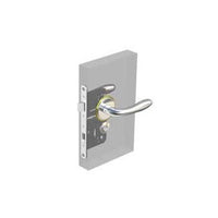 Southco Swing Action Latch with Portifino Handle