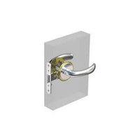 Southco Swing Door Locks - Chrome with Diamond Brass Accent