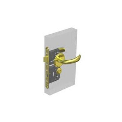 Southco Swing Door Locks - Nova Handle, Diamond Brass Finish - Image 1