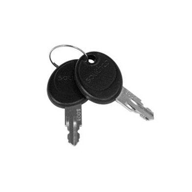 Stainless Steel Overmold Keys with 2 Per Ring - Southco Rotary Latch Actuators - Image 1