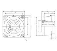 M2000 Heavy Duty 4-Bolt Flange Block Unit