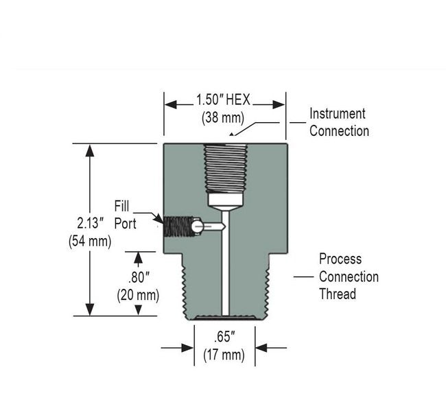 NOSHOK 1/4" NPT Instrument Connection - 316 Stainless Steel Diaphragm Seal - Image 2