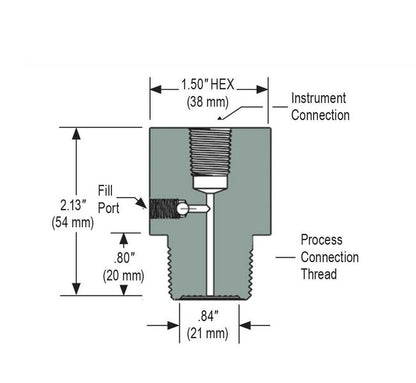 NOSHOK 1/4" NPT Instrument Connection with 316 Stainless Steel Diaphragm Seal - Image 2