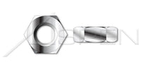 Small Pattern AISI 316 Stainless Steel Hex Machine Screw Nut