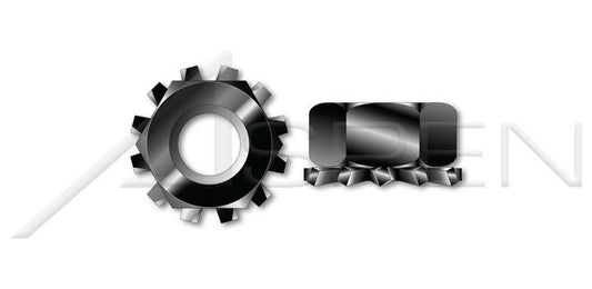 Hex K 18-8 Stainless Steel Black Oxide Lock Keps Nut - Image 1
